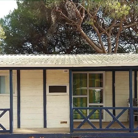 אתר קמפינג Camping Le - Maeva Fréjus
